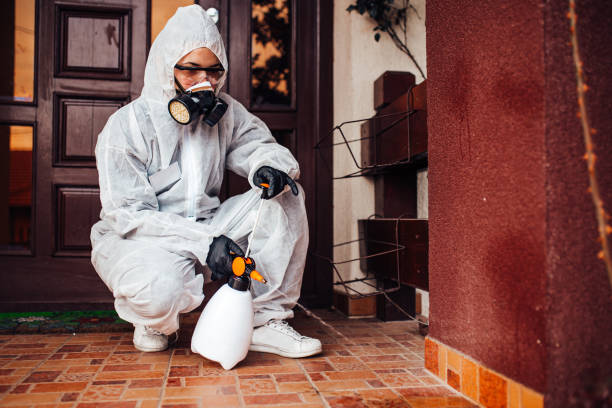Reliable Cockroach Control contractor in Old Jefferson, LA by Nex Pest Control