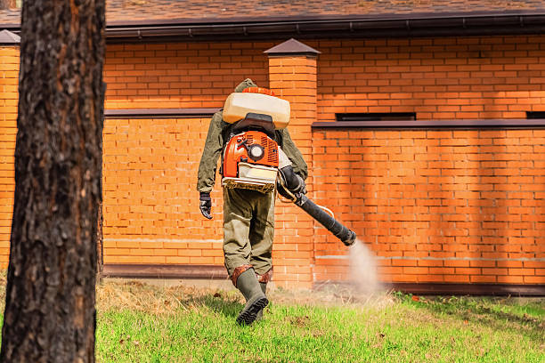 Trusted Fumigation Services service in Old Jefferson, LA - Nex Pest Control